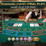 เจาะลึก บาคาร่าเล่นฟรี คืออะไร สั่งสมประสบการณ์เดิมพัน โดยไม่ต้องเสียเงิน